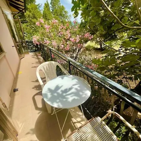 Spacious House In The Green Heart Of Italy Holiday home Colpetrazzo